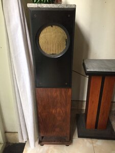 IMG_5055.jpeg