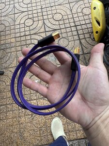IMG_3142.jpeg