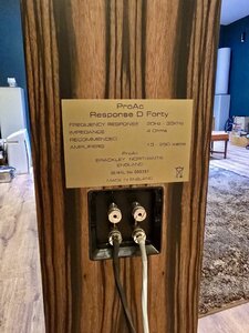 IMG_4285.jpeg