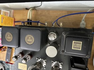 IMG_8810.jpeg