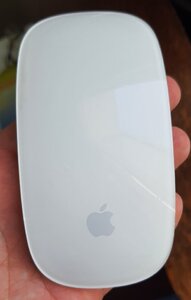 20250814_080859.jpg