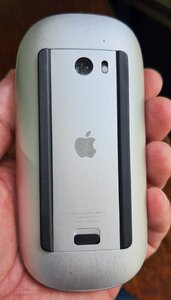 20250814_080905.jpg