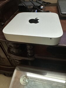 IMG_7795.jpeg