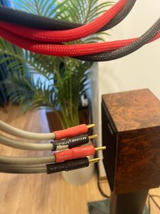 IMG_3369 Copy_Original.jpeg