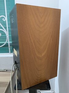 IMG_9451.jpeg