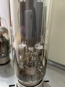 IMG_9443.jpeg