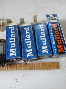 20250819_142531.jpg