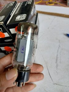 20250819_154632.jpg