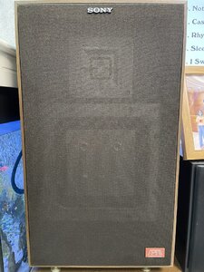 IMG_1954.jpeg