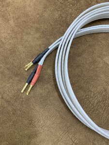 IMG_5809.jpeg