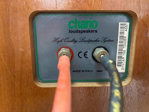 Chario (8).jpg