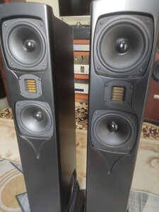 1719723575863 (1).jpg