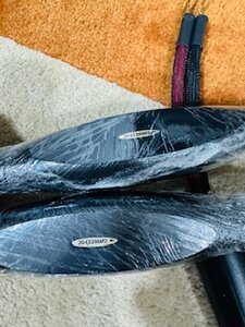 IMG_4082.jpeg