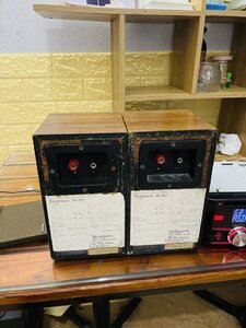IMG_4041.jpeg