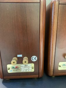 IMG_1315.jpeg