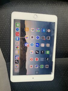 IMG_7909.jpeg