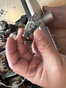 IMG_1117.jpeg