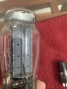 IMG_9806.jpeg