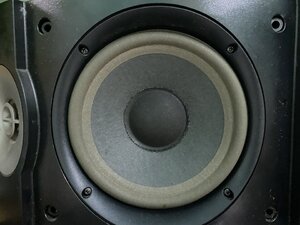 IMG_6699.jpeg