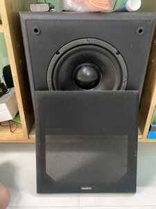 IMG_6711.jpeg