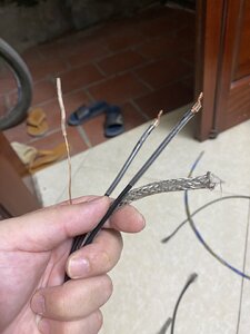 IMG_2567.jpeg