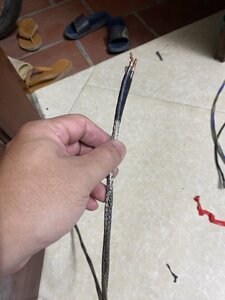 IMG_2568.jpeg