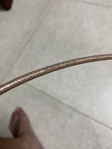 IMG_3310.jpeg