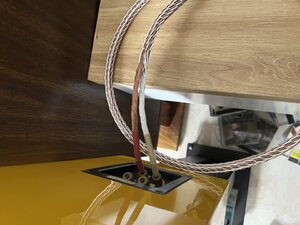 IMG_1082.jpeg