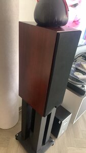 IMG_6817.jpeg