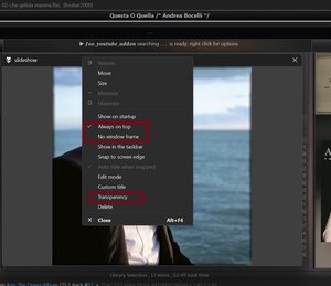 popup window.jpg