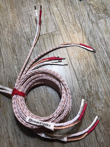 z6975082235468_5058e1c357fd978b2c433c076b9fe33f.jpg