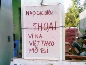 việt theo.jpg