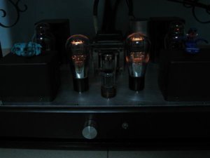 resized_IMG_3908.JPG