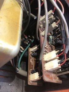 IMG_1864.jpeg