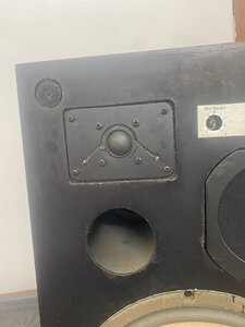 IMG_3480.jpeg