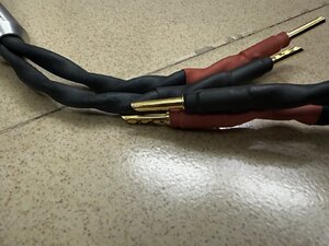 IMG_2169.jpeg