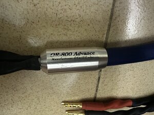 IMG_2170.jpeg