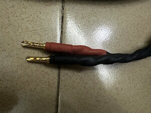 IMG_2171.jpeg
