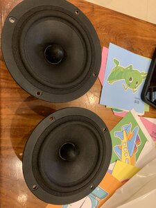 IMG_6730.jpeg