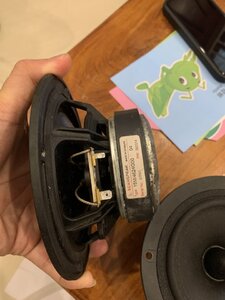 IMG_6731.jpeg