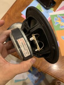IMG_6735.jpeg