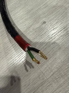 IMG_9026.jpeg