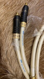 IMG_5181.jpeg