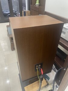 IMG_0752.jpeg