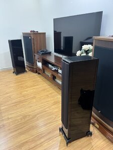 IMG_4350.jpeg