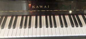 IMG_6006.jpeg