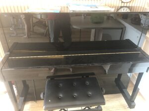 IMG_6003.jpeg