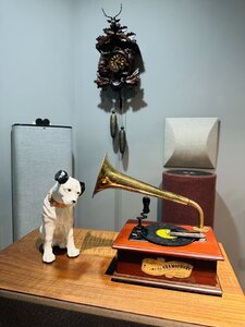 IMG_0557.jpeg