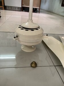IMG_0181.jpeg