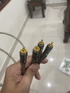IMG_0005.jpeg
